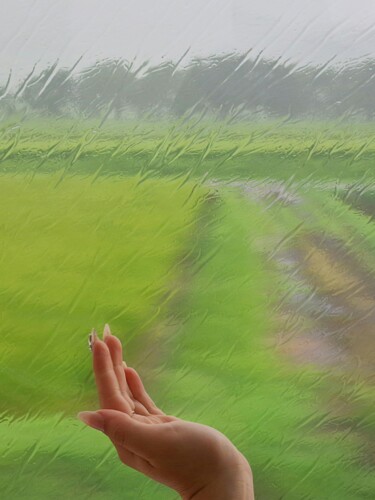 Photography titled "ACCEUIL LA PLUIE" by Arno Sebban, Original Artwork, Paper