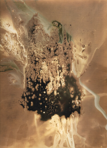 Fotografia intitolato "Chimigramme 24 x 30…" da Fanny Béguély, Opera d'arte originale, fotografia a pellicola