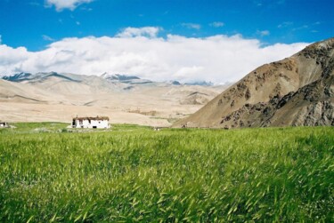 Inde du Nord - champ de blé, hameau de Rumtse, Ladakh "Inde du Nord - cham…" başlıklı Fotoğraf Christian Ebel tarafından, Orijinal sanat, Analog Fotoğrafçılık