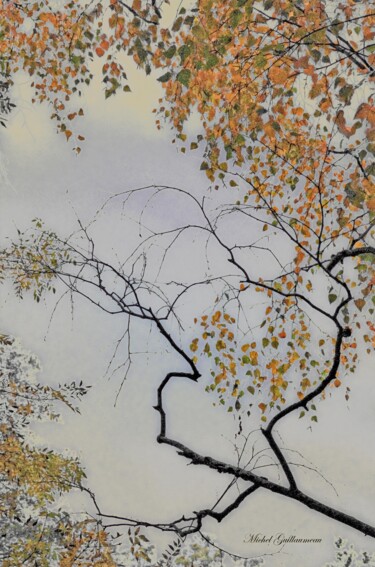 摄影 标题为“ harmonie” 由Michel Guillaumeau, 原创艺术品, 纸