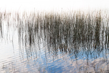 "CUTS-Barcode ≠1" başlıklı Fotoğraf Olivier Cuvelette tarafından, Orijinal sanat, Dijital baskı