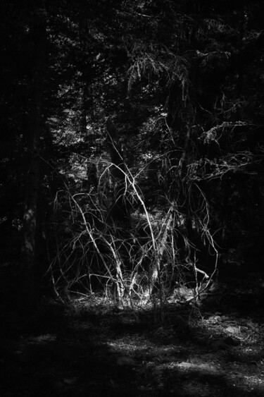 "CUTS-Hot spot" başlıklı Fotoğraf Olivier Cuvelette tarafından, Orijinal sanat, Dijital baskı
