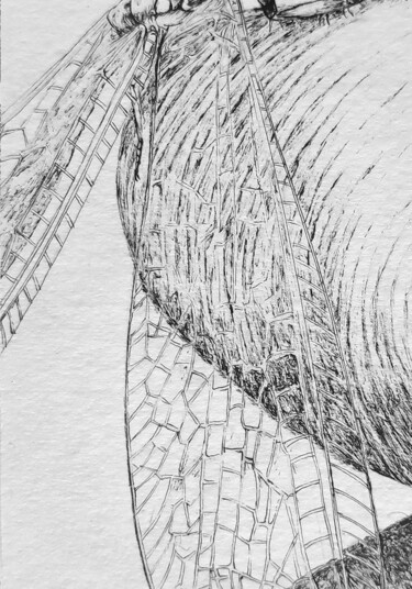 Drawing titled "Le Poids des Yeux #…" by Florian Sông Nguyễn, Original Artwork, Ink