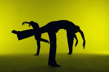 摄影 标题为“Danse spatialiste #4” 由Laurent Paillier, 原创艺术品, 数字打印