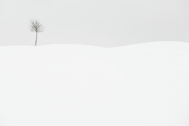 "f1784569744" başlıklı Fotoğraf Laurent Paillier tarafından, Orijinal sanat, Dijital baskı