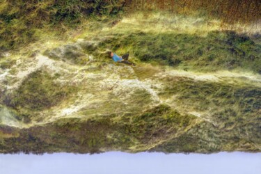 Printmaking titled "paysages inverses s…" by Nicolas Lespagnol, Original Artwork, Digital Print
