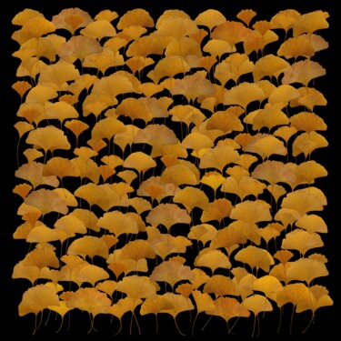 Arte digitale intitolato "crea-feuilles-10-gi…" da Daniel Nassoy, Opera d'arte originale, Stampa digitale