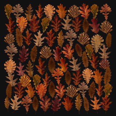 数字艺术 标题为“crea-feuilles-11-ch…” 由Daniel Nassoy, 原创艺术品, 数字打印