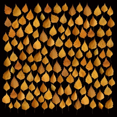 제목이 "crea-feuilles-15-bo…"인 디지털 아트 Daniel Nassoy로, 원작, 디지털 인쇄