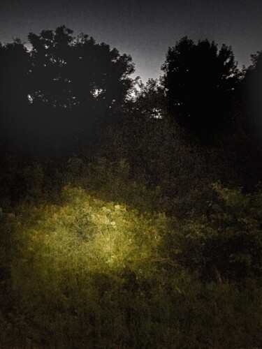Photography titled "La respiration témo…" by Sylvette Gublin-Carroll, Original Artwork, Digital Photography Mounted on Alumi…