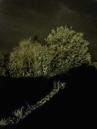 Photography titled "Le choix d'apparaît…" by Sylvette Gublin-Carroll, Original Artwork, Digital Photography Mounted on Other…