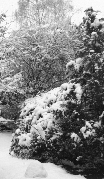 Fotografia zatytułowany „neige à Versailles…” autorstwa Peg, Oryginalna praca, Papier