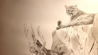 Disegno intitolato "Insaisissable " da Sankao, Opera d'arte originale, Matita
