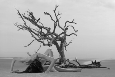 Fotografia intitolato "La transformation d…" da Jean Reynell, Opera d'arte originale, Carta