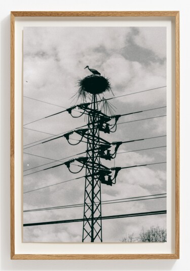 Photography titled "Philosophical skept…" by Viktor Shekularatz, Original Artwork, Paper
