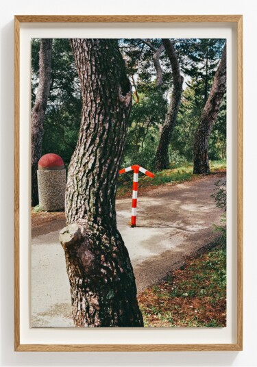 Photography titled "Law of least action" by Viktor Shekularatz, Original Artwork, Paper