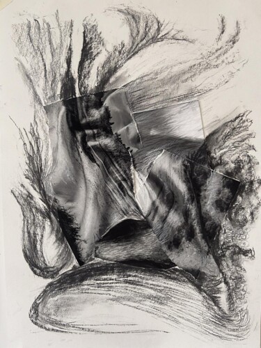 Tekening getiteld "Photofusain 5" door Claudia Vialaret, Origineel Kunstwerk, Houtskool