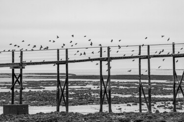 ""Fouras Les Bains"" başlıklı Fotoğraf Guilhem Nascimben tarafından, Orijinal sanat, Dijital Fotoğrafçılık