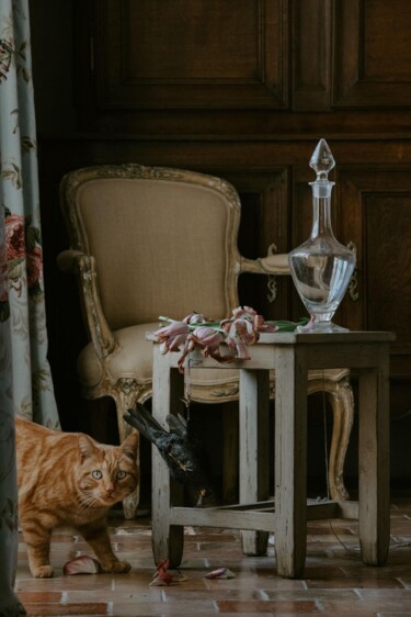 Fotografia zatytułowany „In flagrante delicto” autorstwa Philipka, Oryginalna praca, Cyfrowy wydruk Zamontowany na Aluminium