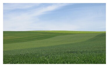 Fotografie getiteld "EN BOURGOGNE" door Evelyne Chevallier, Origineel Kunstwerk, Papier