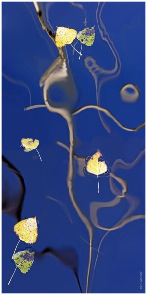 Photographie intitulée "Reflets 500 PPM   "…" par Daniel Gautier, Œuvre d'art originale, Aluminium