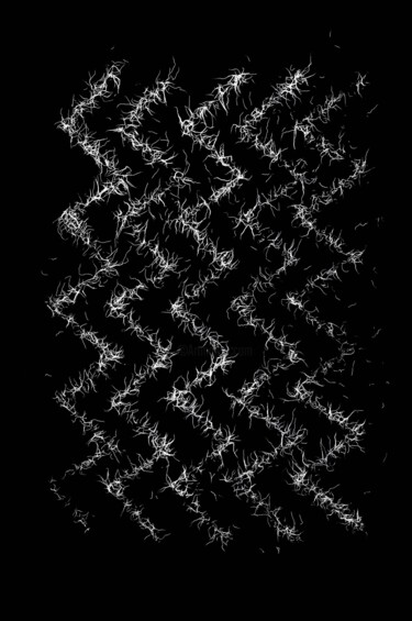 Fotografía titulada " Racine carrée 2015" por Katharina Duwen, Obra de arte original, Impresión digital