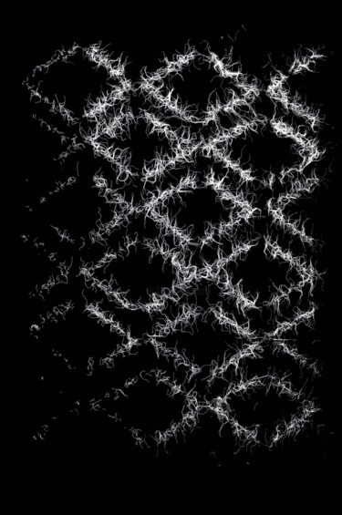 Fotografía titulada "Racine carrėe" por Katharina Duwen, Obra de arte original, Impresión digital