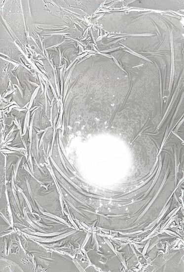 摄影 标题为“Cocoon” 由Stéphanie Robert, 原创艺术品, 电影摄影 安装在纸板上