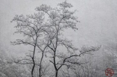 "la forêt enchantée…" başlıklı Fotoğraf Fabian Da Costa tarafından, Orijinal sanat, Dijital baskı