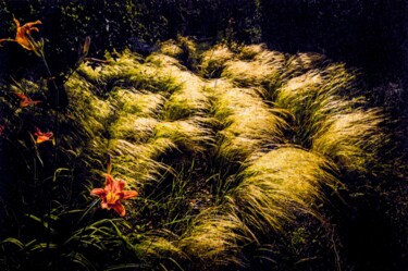 Εκτυπώσεις & Χαρακτικά με τίτλο "les herbes d'or sér…" από Fabian Da Costa, Αυθεντικά έργα τέχνης, Ψηφιακή εκτύπωση