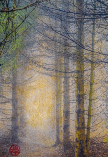 Fotografie getiteld "la forêt enchantée…" door Fabian Da Costa, Origineel Kunstwerk, Digitale afdruk