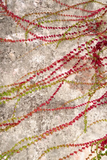 Fotografie getiteld "TRACKS-Happy tracks" door Olivier Cuvelette, Origineel Kunstwerk, Digitale afdruk