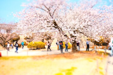 Εκτυπώσεις & Χαρακτικά με τίτλο "Sakura" από Pascal Potier, Αυθεντικά έργα τέχνης, Αναλογική εκτύπωση