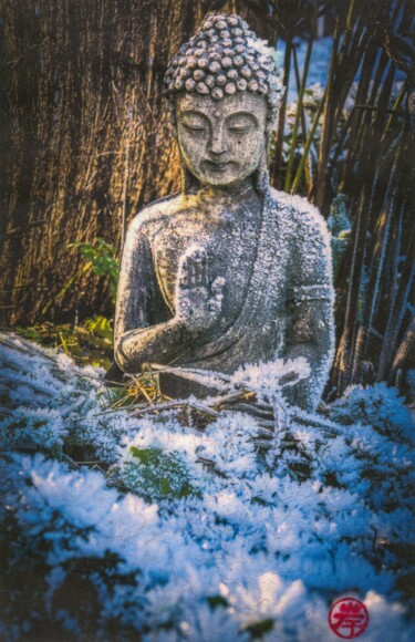 Photography titled "bouddha du jardin s…" by Fabian Da Costa, Original Artwork, Digital Print
