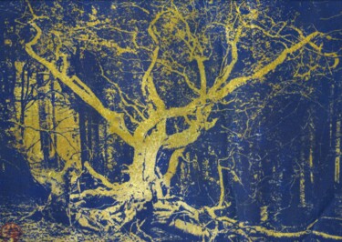 "les faux d ambel 1,…" başlıklı Fotoğraf Fabian Da Costa tarafından, Orijinal sanat, Silverpoint