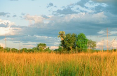 Fotografia intitulada "Botswana  Delta de…" por Christian Ebel, Obras de arte originais, Fotografia de filme