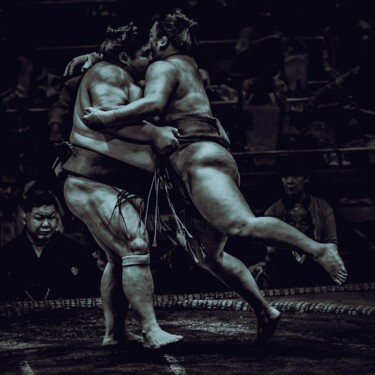 摄影 标题为“Sumo fight” 由Pascal Potier, 原创艺术品, 铝