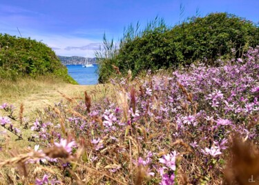 Fotografie getiteld "" POINTE DE SARDINA…" door Christian Lefevre, Origineel Kunstwerk, Digitale afdruk