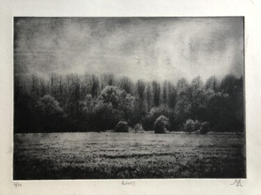 Incisioni, stampe intitolato "Arbres I" da Daniel Nassoy, Opera d'arte originale, incisione