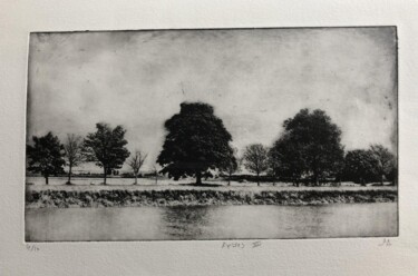 印花与版画 标题为“Arbres III” 由Daniel Nassoy, 原创艺术品, 雕刻