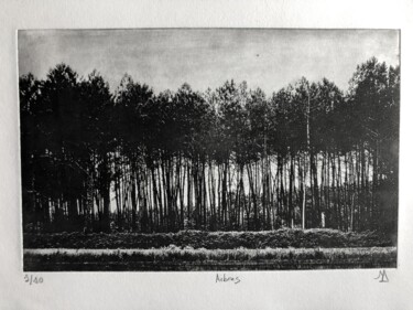 Εκτυπώσεις & Χαρακτικά με τίτλο "Arbres IV" από Daniel Nassoy, Αυθεντικά έργα τέχνης, Χαρακτική