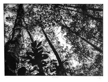 Incisioni, stampe intitolato "Arbres V" da Daniel Nassoy, Opera d'arte originale, incisione