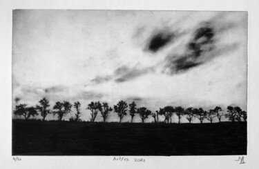 Incisioni, stampe intitolato "Arbres VI" da Daniel Nassoy, Opera d'arte originale, incisione
