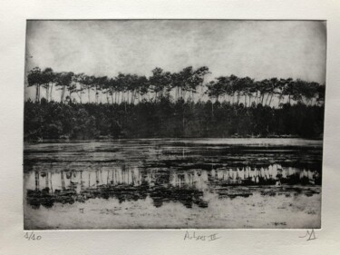 Incisioni, stampe intitolato "Arbres VII" da Daniel Nassoy, Opera d'arte originale, incisione