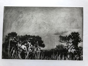 Incisioni, stampe intitolato "Arbres VIII" da Daniel Nassoy, Opera d'arte originale, incisione