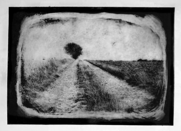 Printmaking titled "L'arbre" by Daniel Nassoy, Original Artwork, Engraving