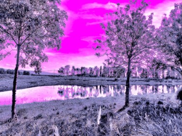 Fotografie getiteld "Campagne gelée" door Christian Lefevre, Origineel Kunstwerk, Aluminium