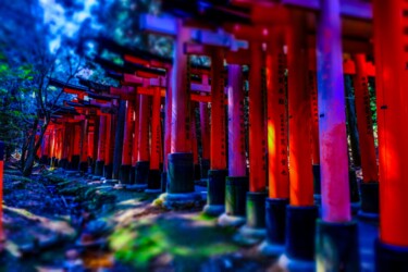 Photography titled "Série Torii" by Pascal Potier, Original Artwork, Aluminium