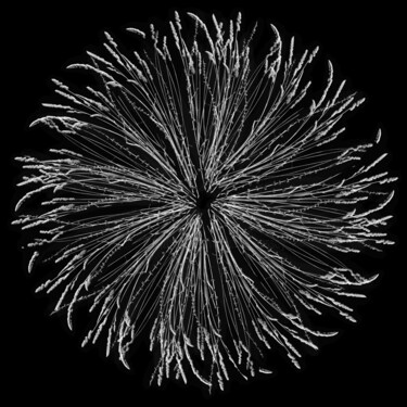 数字艺术 标题为“crea-nature-morte-6” 由Daniel Nassoy, 原创艺术品, 纸