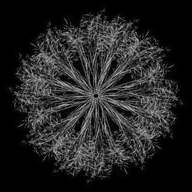 数字艺术 标题为“crea-nature-morte-17” 由Daniel Nassoy, 原创艺术品, 纸